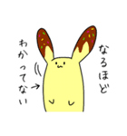 コロと愉快な仲間達（個別スタンプ：14）