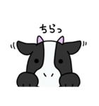 愉快な牛さん達2（個別スタンプ：15）