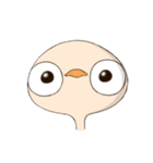 The little Ostrich（個別スタンプ：2）