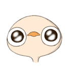 The little Ostrich（個別スタンプ：3）