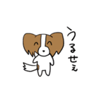 日常と煽りとパピヨン（個別スタンプ：3）
