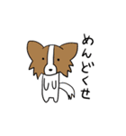 日常と煽りとパピヨン（個別スタンプ：5）