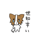 日常と煽りとパピヨン（個別スタンプ：10）