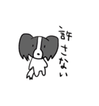 日常と煽りとパピヨン（個別スタンプ：11）