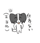 日常と煽りとパピヨン（個別スタンプ：13）