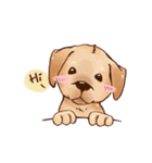 Labrador（個別スタンプ：1）