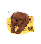 Labrador（個別スタンプ：9）