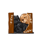 Labrador（個別スタンプ：15）