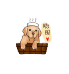 Labrador（個別スタンプ：18）