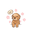 Labrador（個別スタンプ：27）