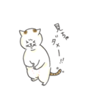 おもちというねこ（個別スタンプ：14）