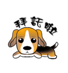 dog alliance（個別スタンプ：14）