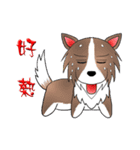 dog alliance（個別スタンプ：18）