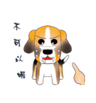 dog alliance（個別スタンプ：29）