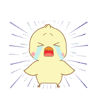 あなたのピヨコ（個別スタンプ：17）