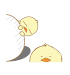 あなたのピヨコ（個別スタンプ：39）