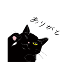 猫スタンプ-6匹の猫たち-（個別スタンプ：1）
