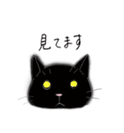 猫スタンプ-6匹の猫たち-（個別スタンプ：5）