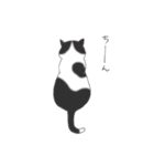猫スタンプ-6匹の猫たち-（個別スタンプ：11）