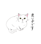 猫スタンプ-6匹の猫たち-（個別スタンプ：20）