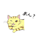 猫スタンプ-6匹の猫たち-（個別スタンプ：29）