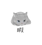 猫スタンプ-6匹の猫たち-（個別スタンプ：37）