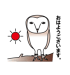 エミューとメンフクロウ（個別スタンプ：5）