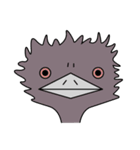 エミューとメンフクロウ（個別スタンプ：11）