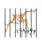 サバンナスタンプ（個別スタンプ：14）