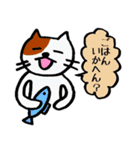 関西弁ねこちゃんず（個別スタンプ：22）