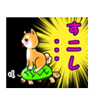 柴犬が言っていました。（個別スタンプ：37）