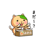 ぽっちゃりたれ耳ミカンネコ（個別スタンプ：15）