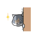 Kenzo ＆ Miumiu（個別スタンプ：12）