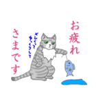 猫の日常 みゅう（個別スタンプ：14）