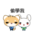 Shiba inu (Common expressions)（個別スタンプ：20）