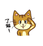トラネコの気持ち（個別スタンプ：9）