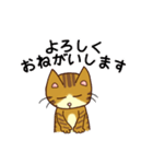 トラネコの気持ち（個別スタンプ：13）