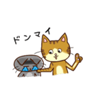 トラネコの気持ち（個別スタンプ：15）