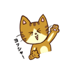 トラネコの気持ち（個別スタンプ：16）