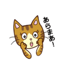 トラネコの気持ち（個別スタンプ：21）