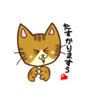 トラネコの気持ち（個別スタンプ：24）