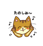 トラネコの気持ち（個別スタンプ：33）