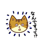 トラネコの気持ち（個別スタンプ：36）