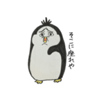 DOSUKOI PENGUIN（個別スタンプ：31）