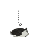 DOSUKOI PENGUIN（個別スタンプ：40）