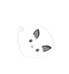 cute machi rabbit（個別スタンプ：5）
