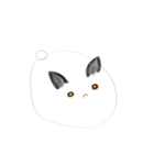 cute machi rabbit（個別スタンプ：13）
