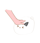 cute machi rabbit（個別スタンプ：23）