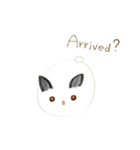 cute machi rabbit（個別スタンプ：30）