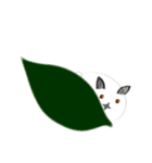 cute machi rabbit（個別スタンプ：37）